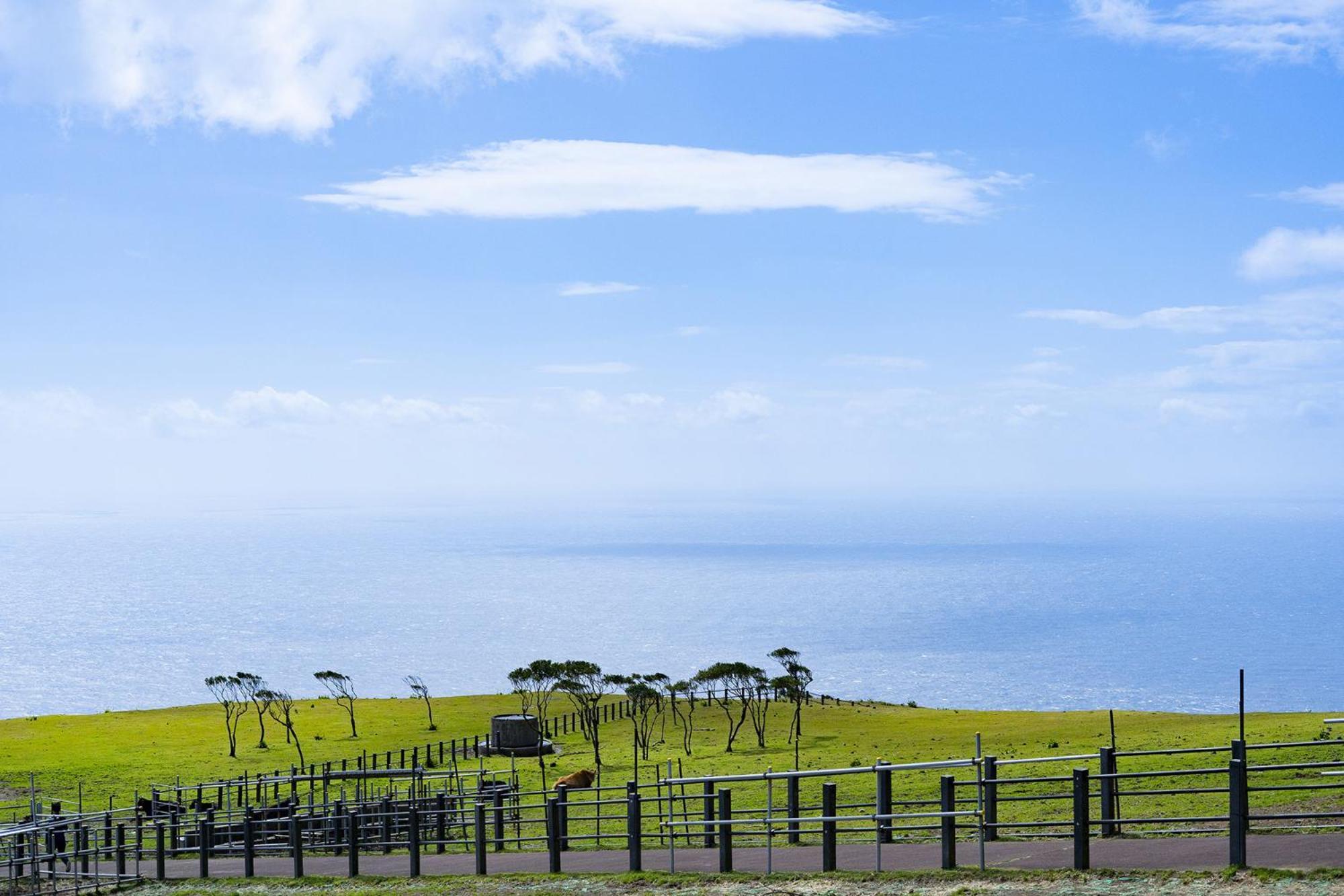 Villa Hachijyo-Island Blue Eight -八丈島ブルーエイト- Mitsune Exterior foto